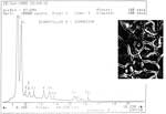 appendix 1 thumbnail