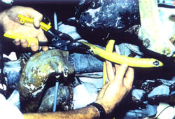 positioning hose