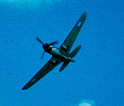 P-40 in flight