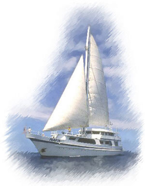 Nai'a