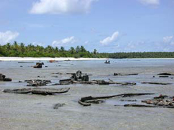 Norwich City debris field