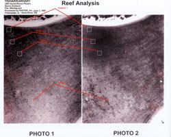 Photo analysis thumbnail