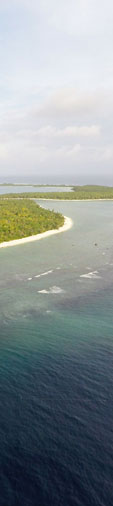 The Earhart Project: Niku VIII Preliminary Report