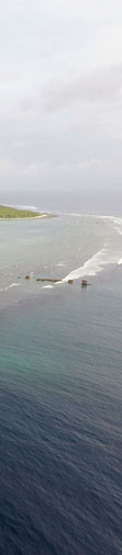 The Earhart Project: Niku VIII Preliminary Report